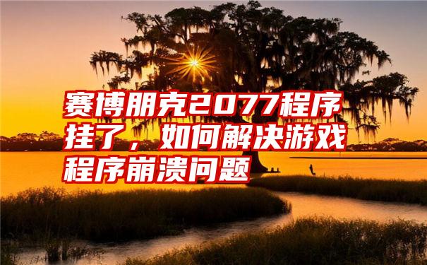 2077客户端崩溃赛博朋克2077无法启动