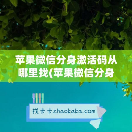 苹果韩版怎样激活苹果手机卡贴怎么安装-第2张图片-太平洋在线下载