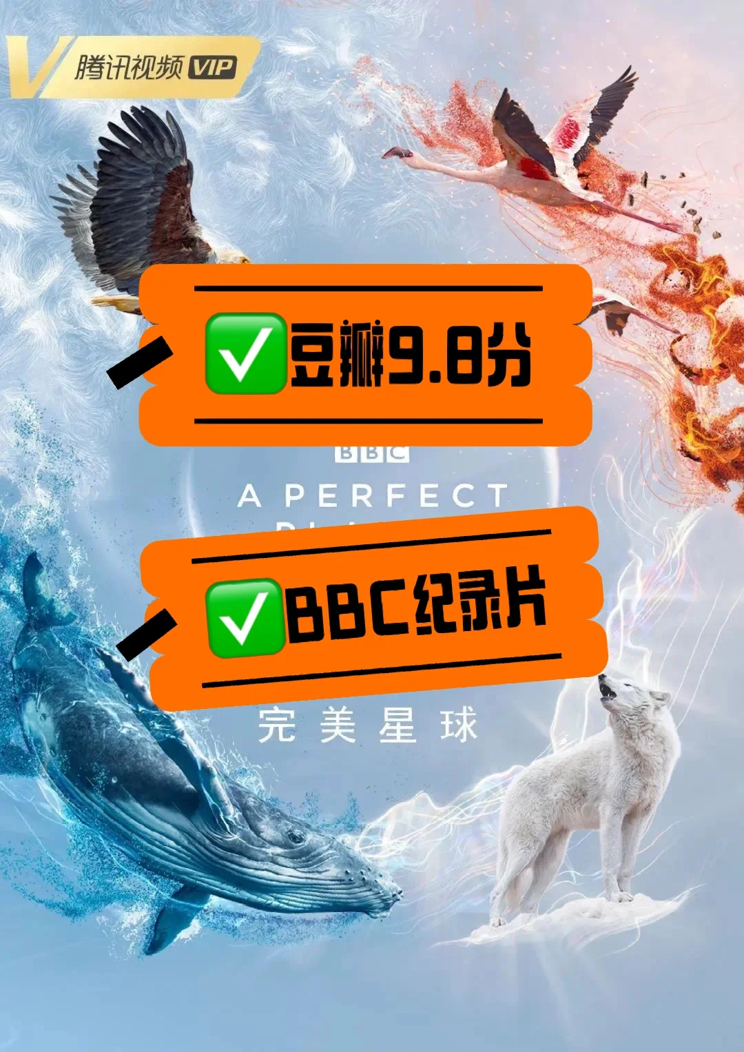 bbc电脑客户端bbcworldservice视频-第2张图片-太平洋在线下载